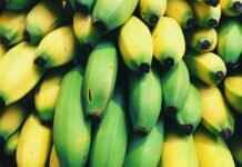 Eva Green’s Reaction to Fan Theories About Her Characters Eva Green’s Reaction to Fan Theories About Her Characters