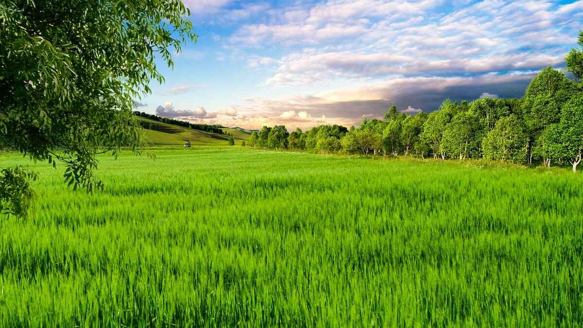 Eva Green’s Relationship With Her Co-Stars: Who She Clicked With Most 7 Frequently Asked Questions