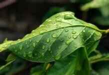 Eva Green’s Sex Appeal on Screen: A Deep Dive Into Her Boldest Roles Eva Green’s Sex Appeal on Screen: A Deep Dive Into Her Boldest Roles