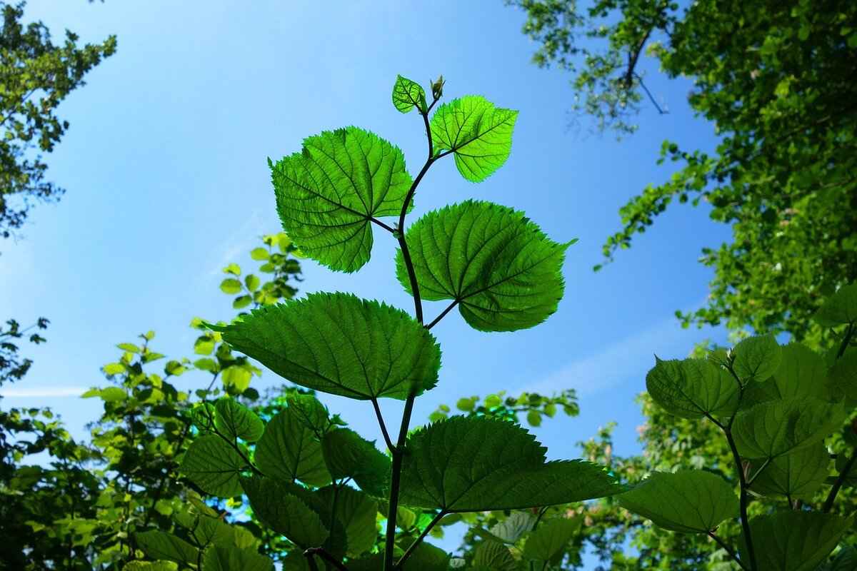 Eva Green’s Sexiest Movie Moments That Redefined Sensuality 1 Unforgettable Roles: Eva Green's Iconic Characters