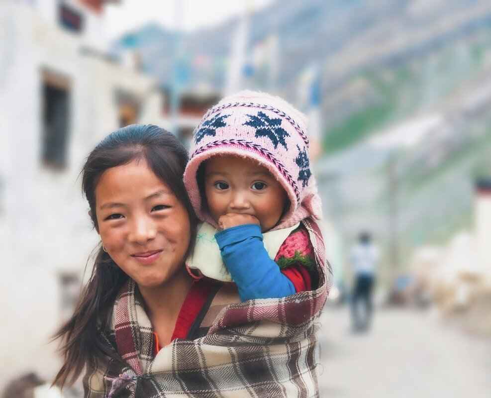 Education and Career Paths