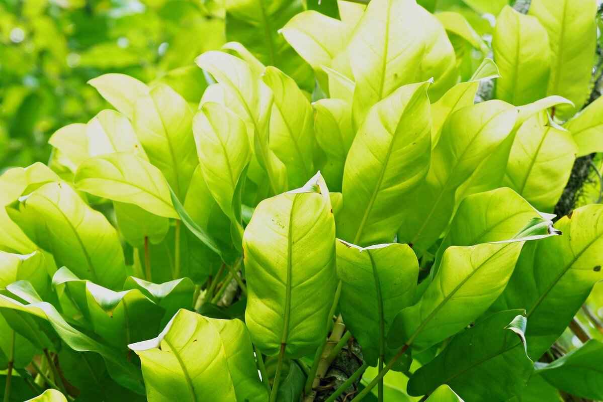 Eva Green’s Views on Fame and Privacy: A Mysterious Star 10 Influence of Childhood on Her Views