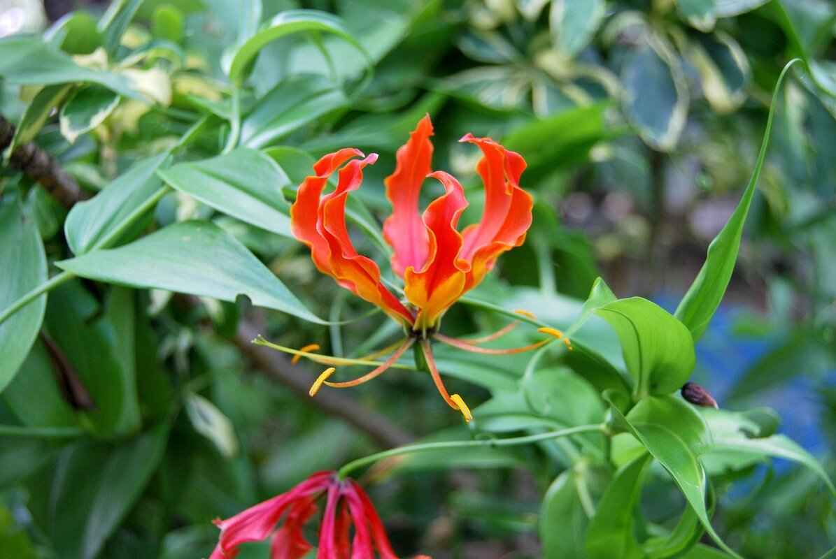 Eva Green’s Views on Fame and Privacy: A Mysterious Star 7 Balancing Public Persona and Private Life