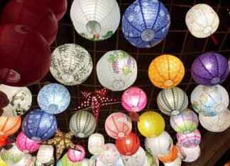 Everything You Need to Know About West Bengal’s Traditional Festivals Everything You Need to Know About West Bengal’s Traditional Festivals