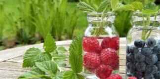 Experience Pure Bliss: Asian Massage Spa Near Me Unveiled Experience Pure Bliss: Asian Massage Spa Near Me Unveiled