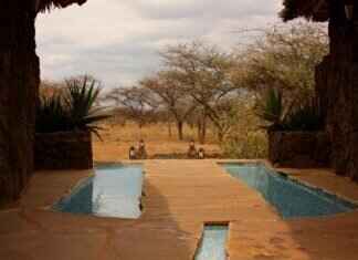 Experiencing the Unique Techniques in Asian Massage Spas Experiencing the Unique Techniques in Asian Massage Spas