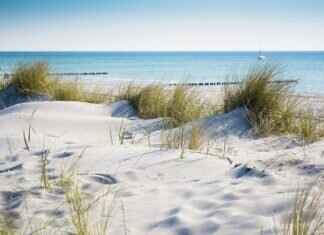 Exploring Love2Love.lv: A Comprehensive Guide to Intimate Goods Exploring Love2Love.lv: A Comprehensive Guide to Intimate Goods