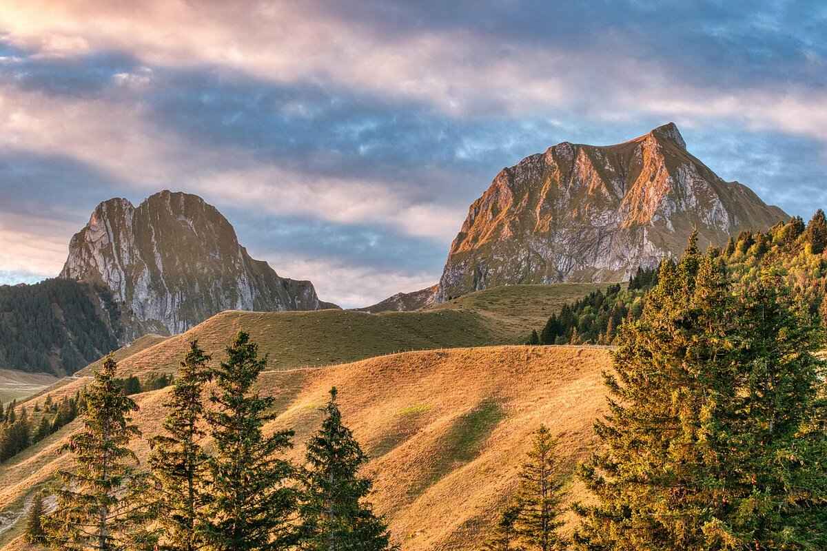 Wildlife and Biodiversity