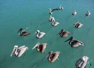 Exploring the Best Fishing Spots in West Bengal # Exploring the Best Fishing Spots in West Bengal Exploring the Best Fishing Spots in West Bengal # Exploring the Best Fishing Spots in West Bengal