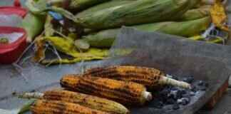 Exploring the Street Food Culture of Bangkok Exploring the Street Food Culture of Bangkok