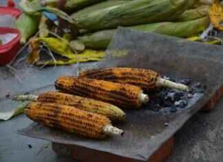 Exploring the Street Food Culture of Bangkok Exploring the Street Food Culture of Bangkok