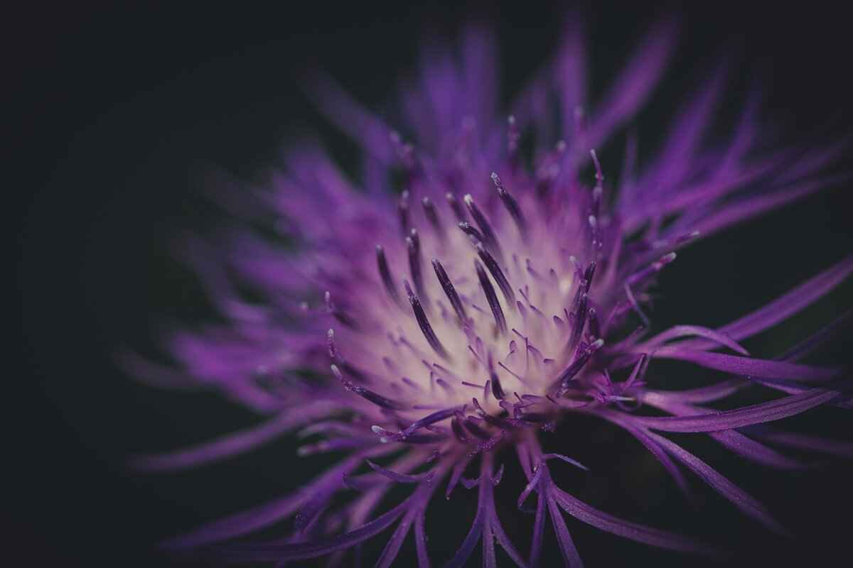 4. Activities for Nature Lovers