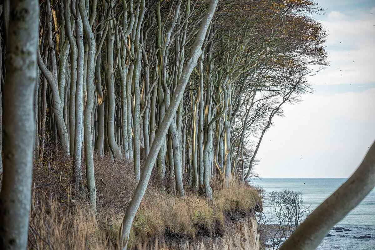 11. Conclusion: Why Choose Falakata?