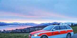 Fan Theories About the Paw Patrol Universe Fan Theories About the Paw Patrol Universe