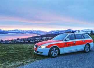 Fan Theories About the Paw Patrol Universe Fan Theories About the Paw Patrol Universe