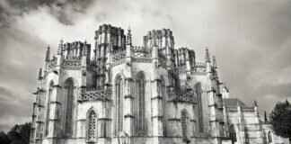 Farigiraf Pokémon: Best Moveset, Evolution, and Competitive Play Tips Farigiraf Pokémon: Best Moveset, Evolution, and Competitive Play Tips