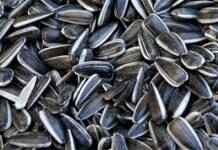 FDA Recalls Chia Seeds: What You Need to Know for Your Safety FDA Recalls Chia Seeds: What You Need to Know for Your Safety