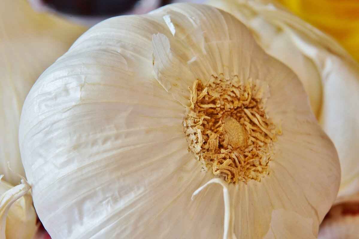 Fermented Black Garlic: The New Superfood from Asia 1 What is Fermented Black Garlic?