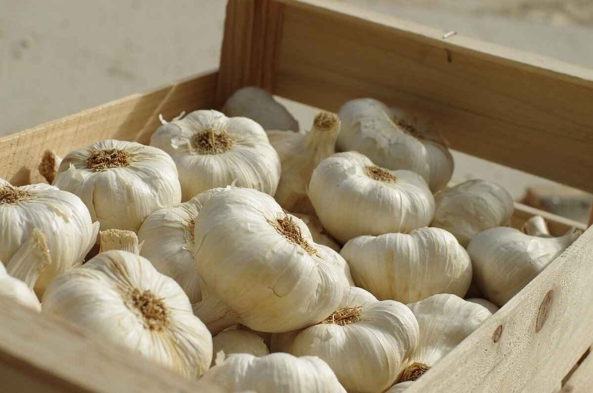Fermented Black Garlic: The New Superfood from Asia 3 How to Use Fermented Black Garlic in Your Diet