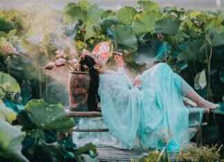 Finding Peace: How Asian Massage Techniques Alleviate Stress Finding Peace: How Asian Massage Techniques Alleviate Stress