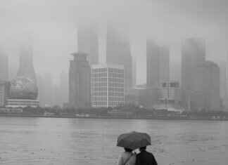 Fine Dining in Shanghai: Where Tradition Meets Modernity Fine Dining in Shanghai: Where Tradition Meets Modernity