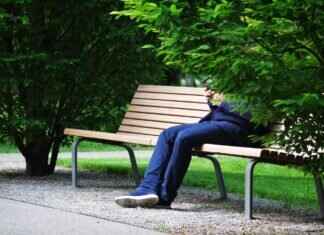 Finizen Pokémon: Evolution, Best Moveset, and Competitive Play Tips Finizen Pokémon: Evolution, Best Moveset, and Competitive Play Tips