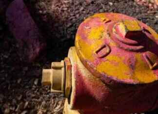 Fire Hydrant Repairs: DWP Successfully Addresses Issues fire-hydrant-repairs-dwp-successfully-addresses-ssues