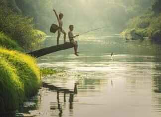 Fish Sauce: The Salty, Umami-Rich Staple of Southeast Asia Fish Sauce: The Salty, Umami-Rich Staple of Southeast Asia