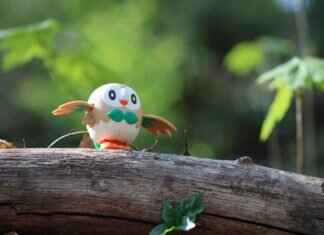 Flapple Pokémon: Best Moveset, Strengths, and Competitive Strategy Flapple Pokémon: Best Moveset, Strengths, and Competitive Strategy