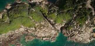 Flash Tranny: Everything You Need to Know Flash Tranny: Everything You Need to Know