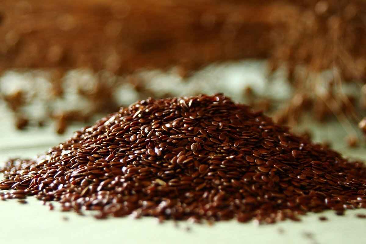What Are Flaxseeds and Chia Seeds?