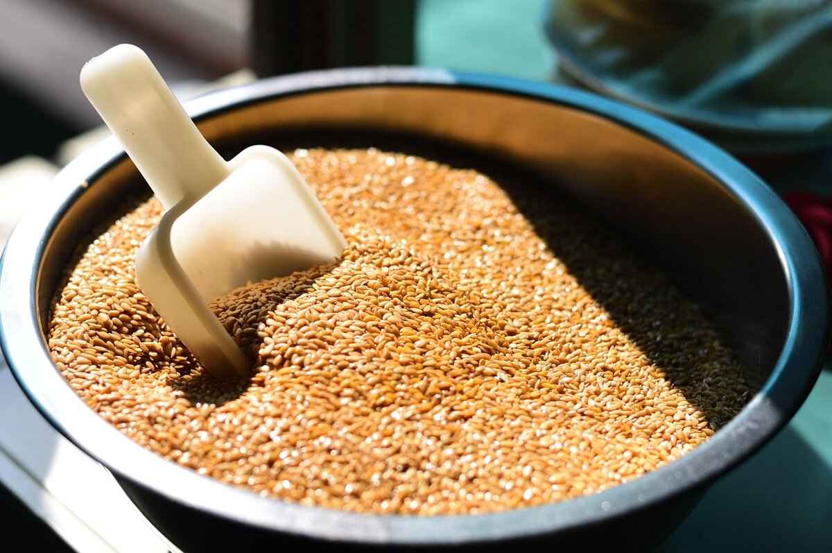 How Do Flaxseed and Chia Seed Nutritional Profiles Compare?