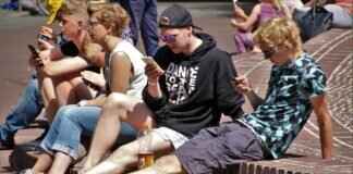 Flittle Pokémon: Evolution, Best Moveset, and Competitive Strategy Flittle Pokémon: Evolution, Best Moveset, and Competitive Strategy