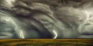 FMyBrainsOut: The Viral Internet Phenomenon Explained FMyBrainsOut: The Viral Internet Phenomenon Explained