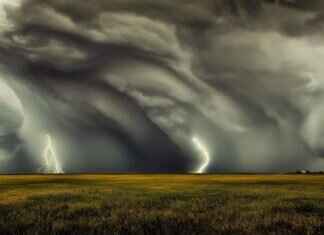 FMyBrainsOut: The Viral Internet Phenomenon Explained FMyBrainsOut: The Viral Internet Phenomenon Explained