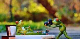 Foldable Action Cameras: The Next Big Thing? Foldable Action Cameras: The Next Big Thing?