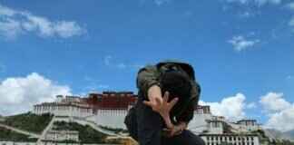 Fomantis Pokémon: Best Moveset, Evolution, and Competitive Play Tips Fomantis Pokémon: Best Moveset, Evolution, and Competitive Play Tips