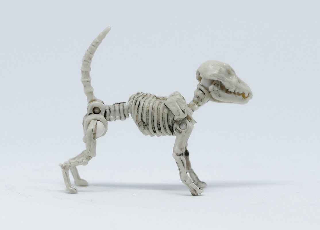 Understanding the Tackle Dummy