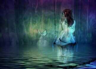 Ford Escape Windshield Wipers: Top Replacement Options Ford Escape Windshield Wipers: Top Replacement Options