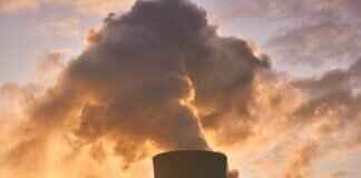 Forest Hill Nursery: Best Plants & Gardening Tips Forest Hill Nursery: Best Plants & Gardening Tips