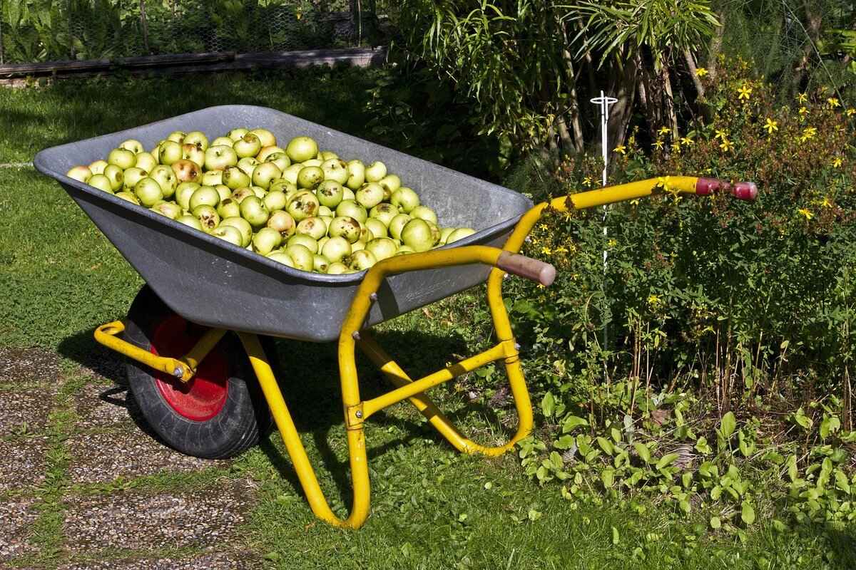 What Are the Benefits of Organic Gardening?