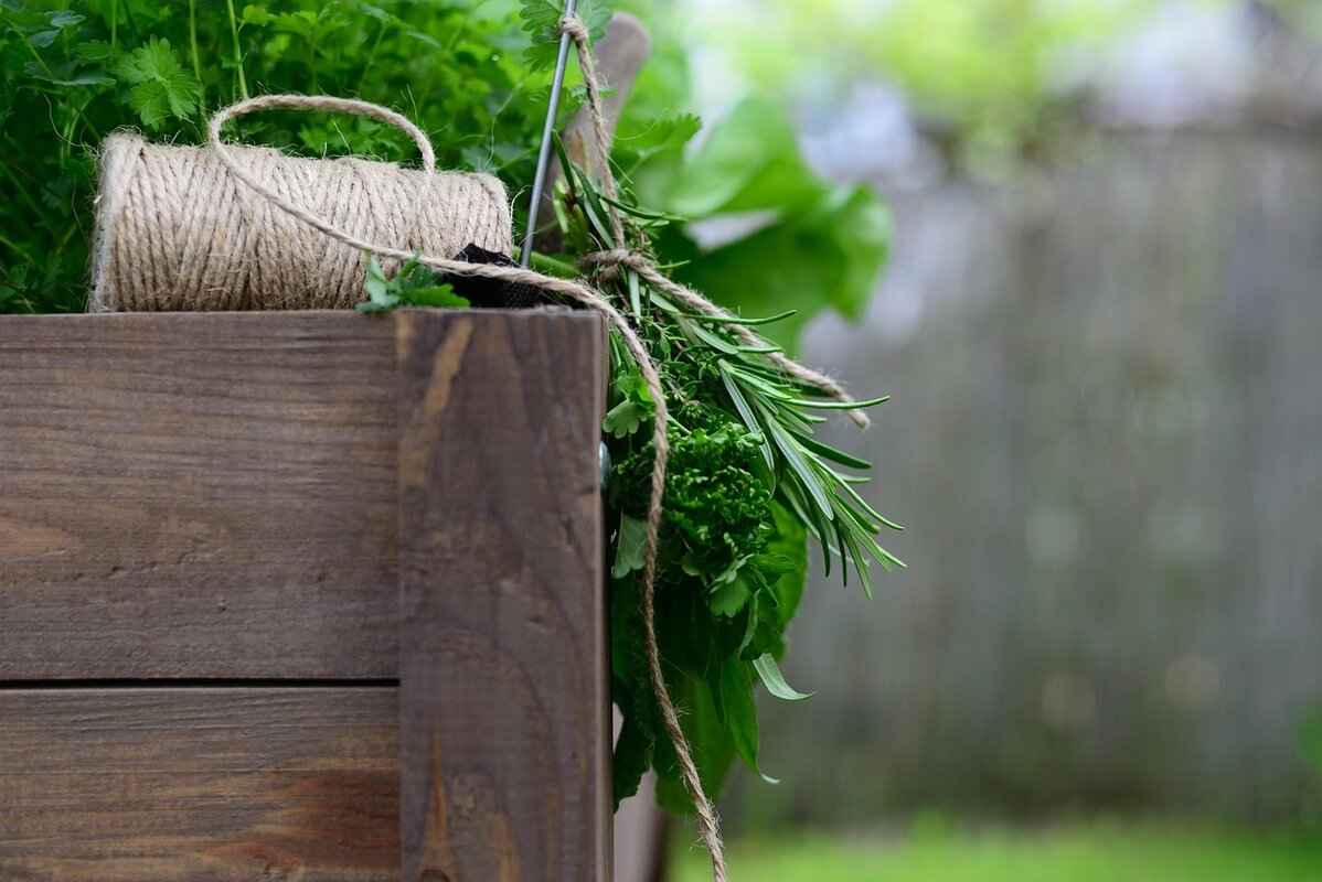 Fresh Herbs & Greens in Asian Cooking 1 Why Are Fresh Herbs Essential in Asian Cuisine?