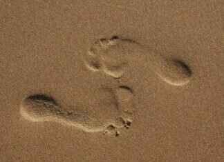 From Pain Relief to Relaxation: The Benefits of Asian Foot Massage From Pain Relief to Relaxation: The Benefits of Asian Foot Massage