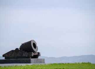 Frosmoth Pokémon: Best Moveset, Strengths, and Competitive Play Tips Frosmoth Pokémon: Best Moveset, Strengths, and Competitive Play Tips