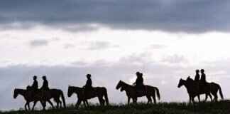 Funniest Moments in Paw Patrol History Funniest Moments in Paw Patrol History