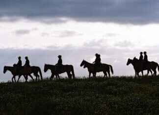 Funniest Moments in Paw Patrol History Funniest Moments in Paw Patrol History