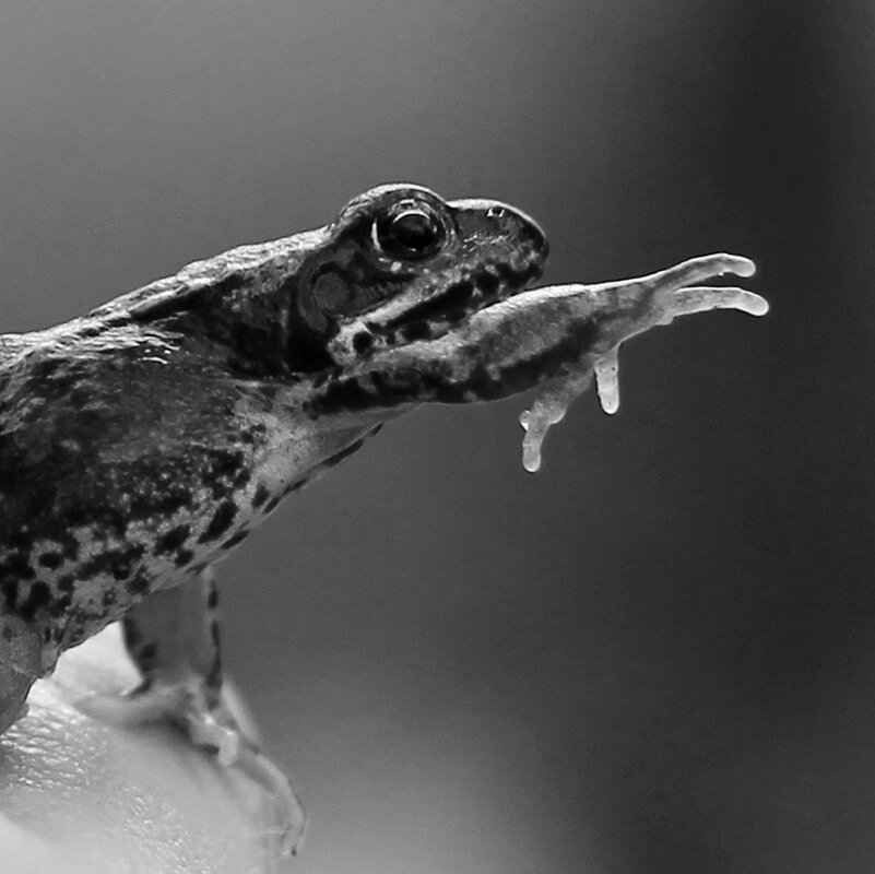 Marshall's Clumsy Moments That Steal the Show