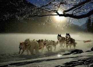 Gabriel Richard Football: The Legacy of a Great Team Gabriel Richard Football: The Legacy of a Great Team