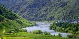 Gambino Sparkling Wine Review: Is It Worth the Hype? Gambino Sparkling Wine Review: Is It Worth the Hype?