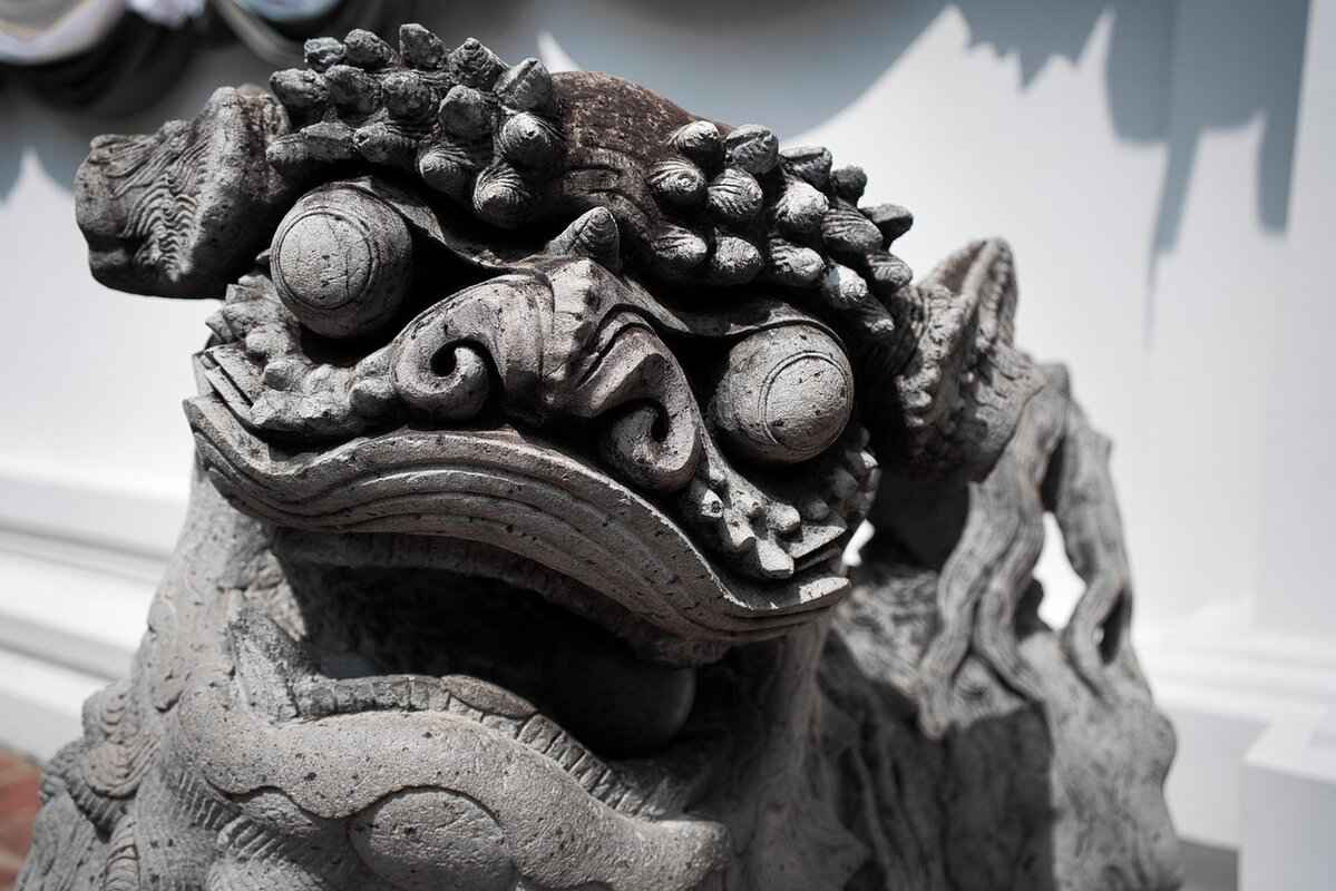 Understanding Genesect: A Brief Overview